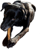 forPups Regular Bully Sticks (Per Pound) - All Natural Premium Quality Bully Sticks for Dogs