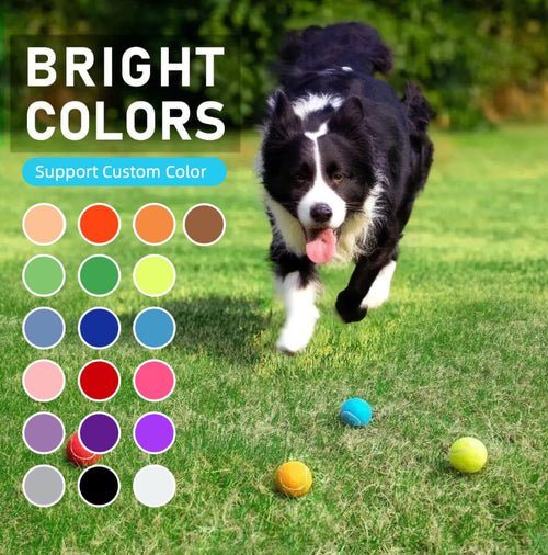 Durable Pet Tennis Ball Toys Pet Gift Giveaway Squeaky Dog Tennis Balls for Training